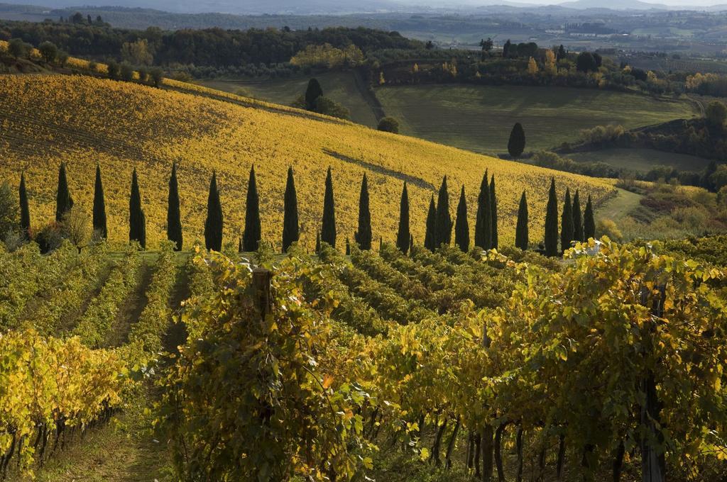 San Donato in Poggio Agriturismo Campo Lungo חדר תמונה